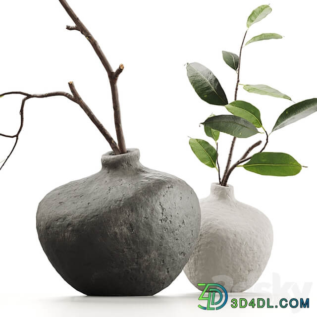 Branches in vases