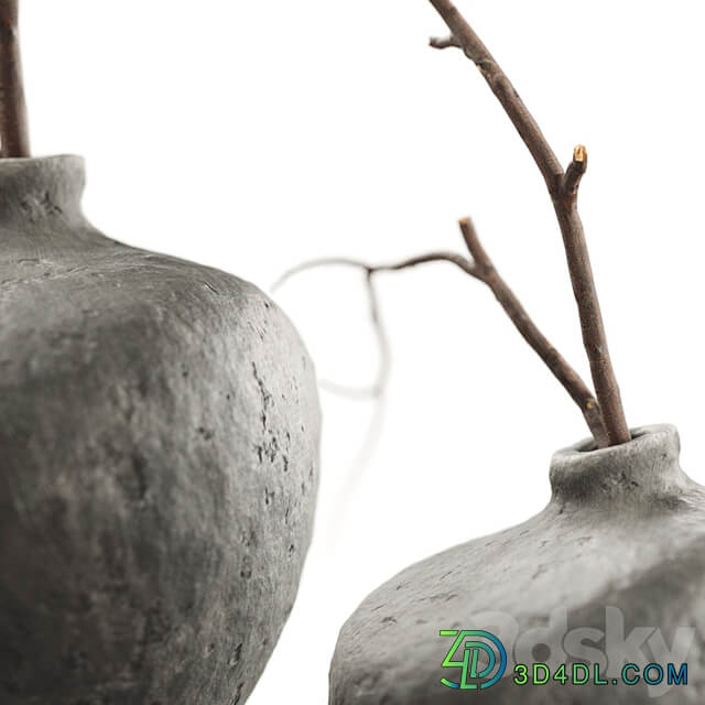 Branches in vases