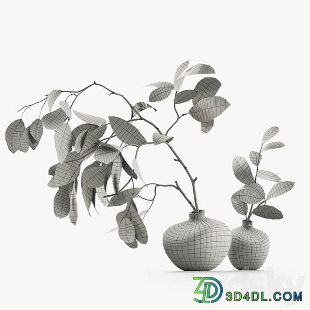 Branches in vases