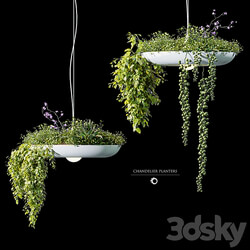 Chandelier plant pot 