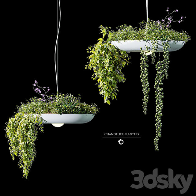 Chandelier plant pot