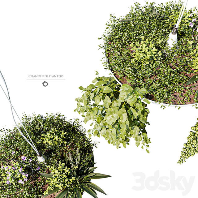 Chandelier plant pot