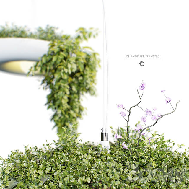 Chandelier plant pot