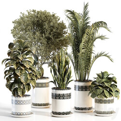 indoor plant 02 