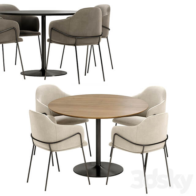 carver dining chair with Anderson table