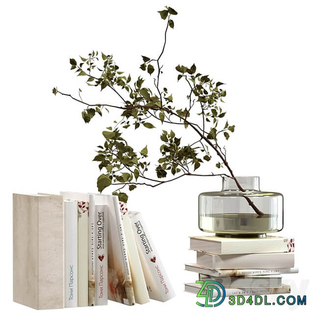 Decorative set with books