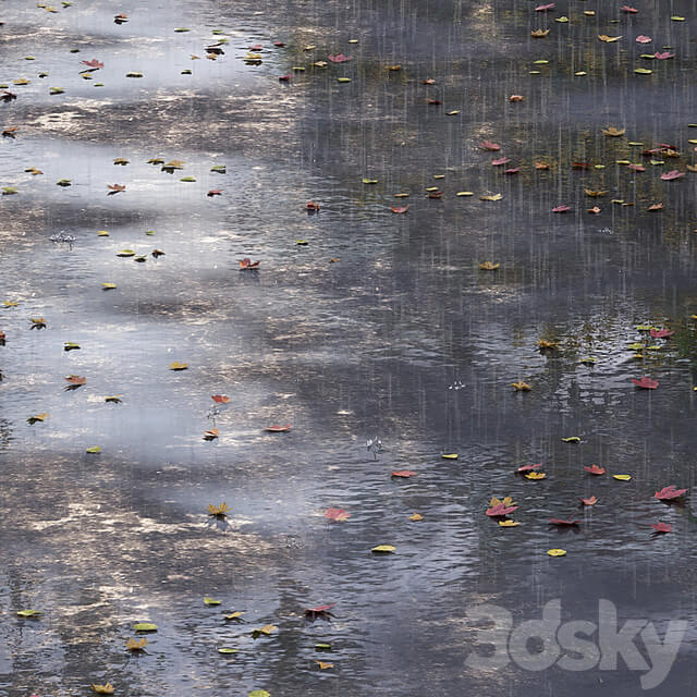 Autumn road with leaves and puddles