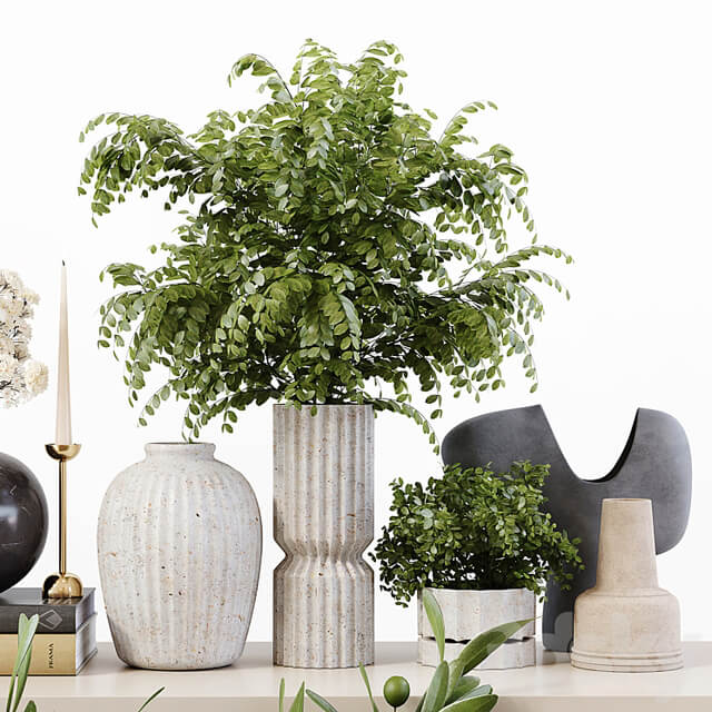 Decorative Set 201