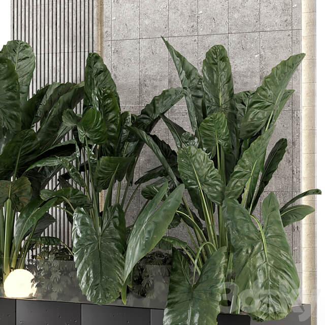 Indoor Wall Big Green Leaf Garden in Concrete Base Set 1770