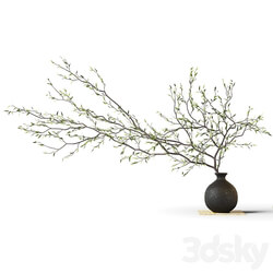Branch in a vase on a rug 