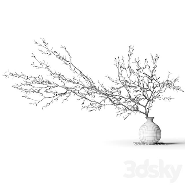 Branch in a vase on a rug