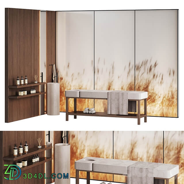 Modern minimalistic spa with wheat ears behind glass