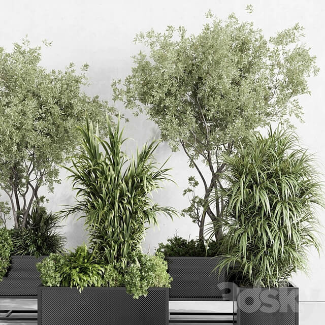 metal box plants on stand set indoor plant 425 vray