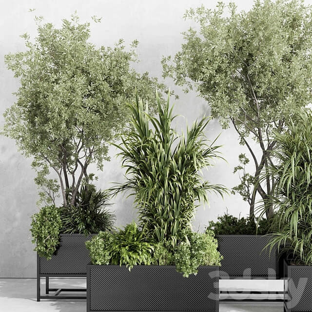 metal box plants on stand set indoor plant 425 vray