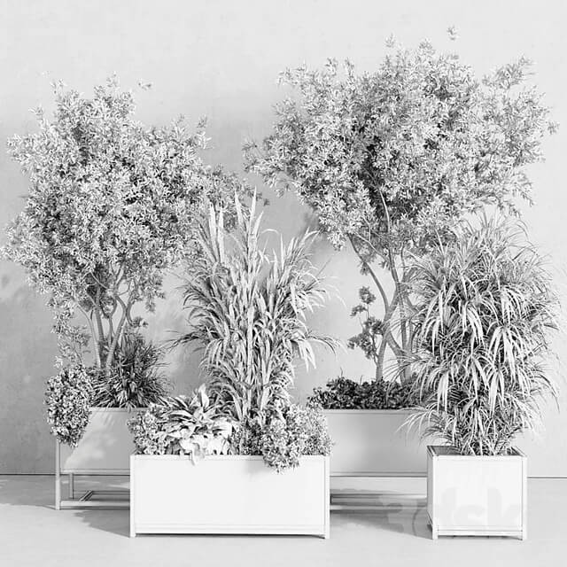 metal box plants on stand set indoor plant 425 vray