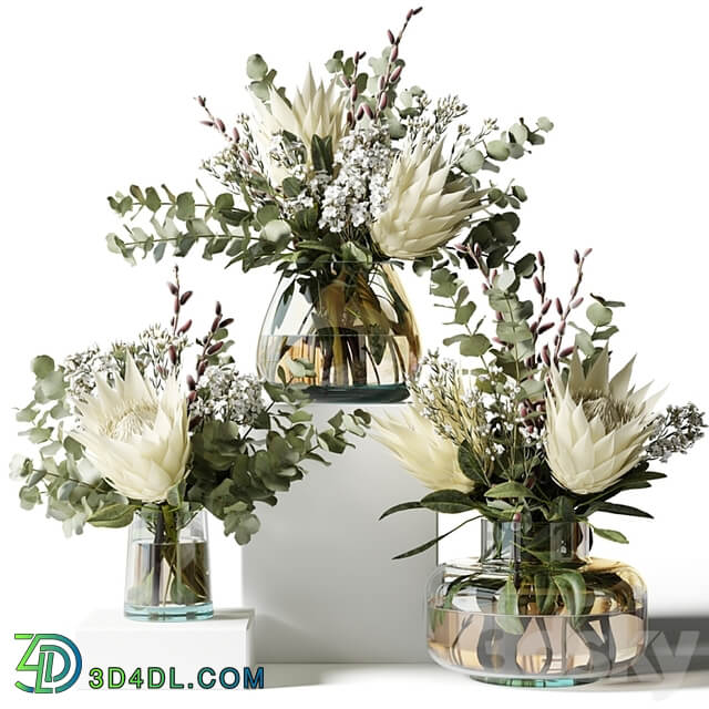 Bouquet with proteas and eucalyptus