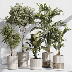 indoor plant set 78 