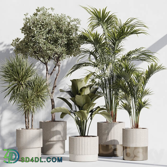 indoor plant set 78