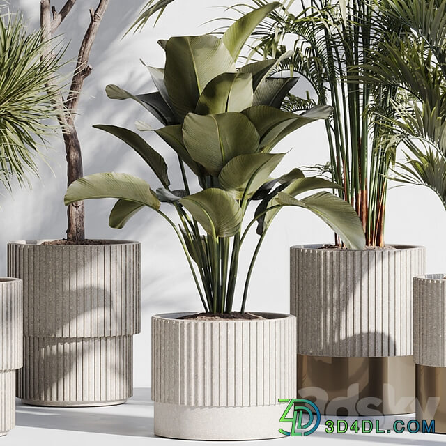 indoor plant set 78