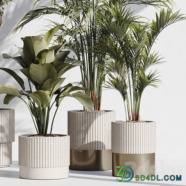 indoor plant set 78