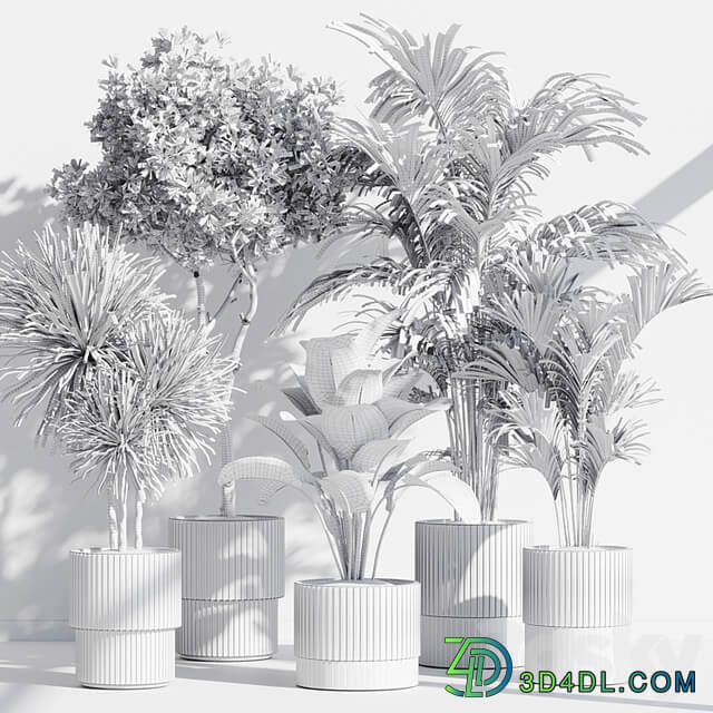 indoor plant set 78