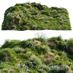 Grass on the slope 