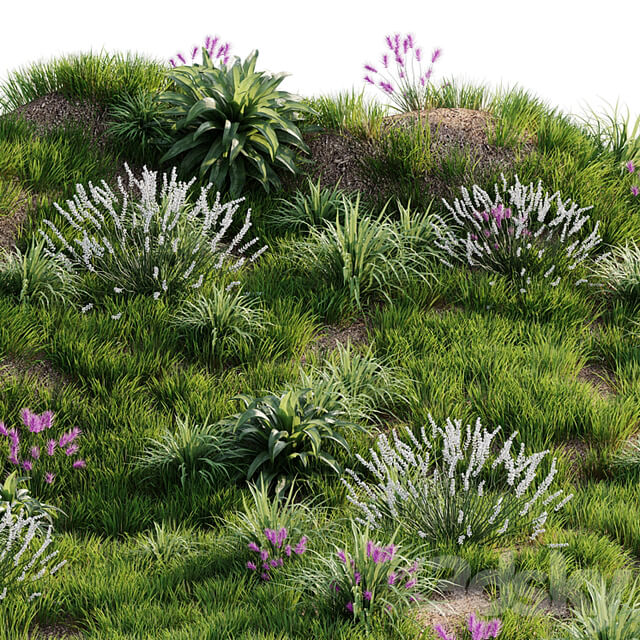 Grass on the slope