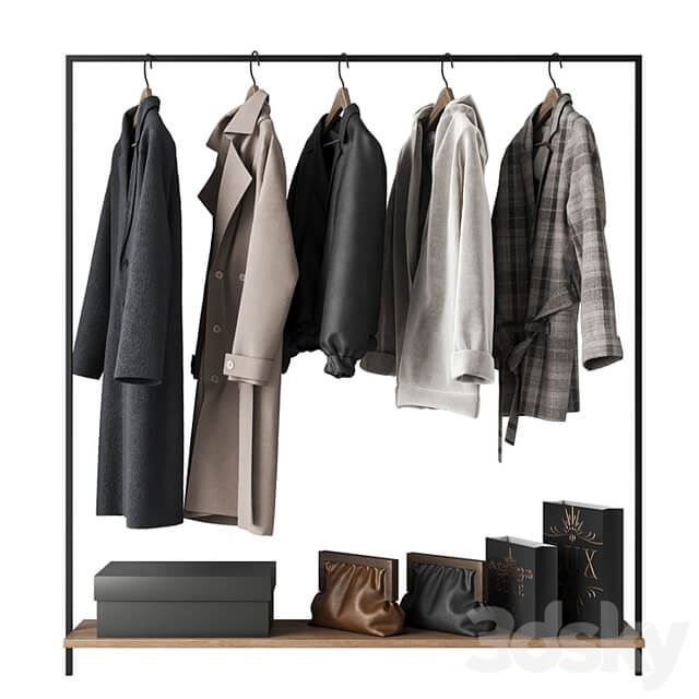Outerwear for the hallway \ Coat
