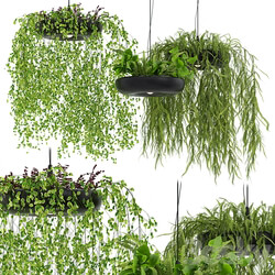 Indrid Decorative Plants Black Light By Lightmakers 
