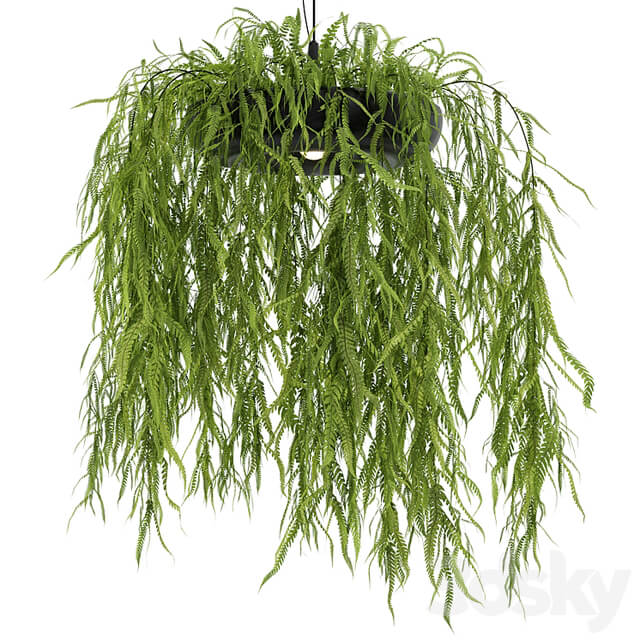 Indrid Decorative Plants Black Light By Lightmakers