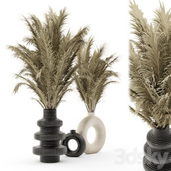 Collection Dry Bouquet Plants Pots Set 1876 