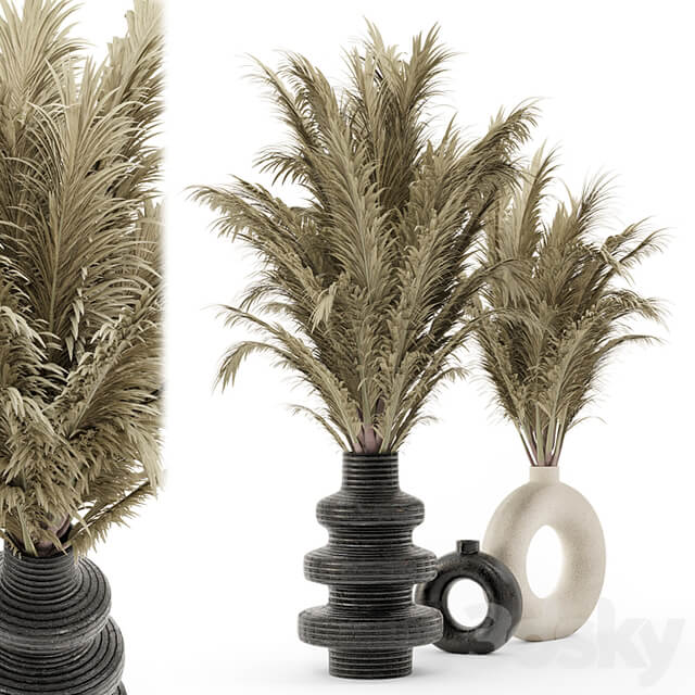 Collection Dry Bouquet Plants Pots Set 1876