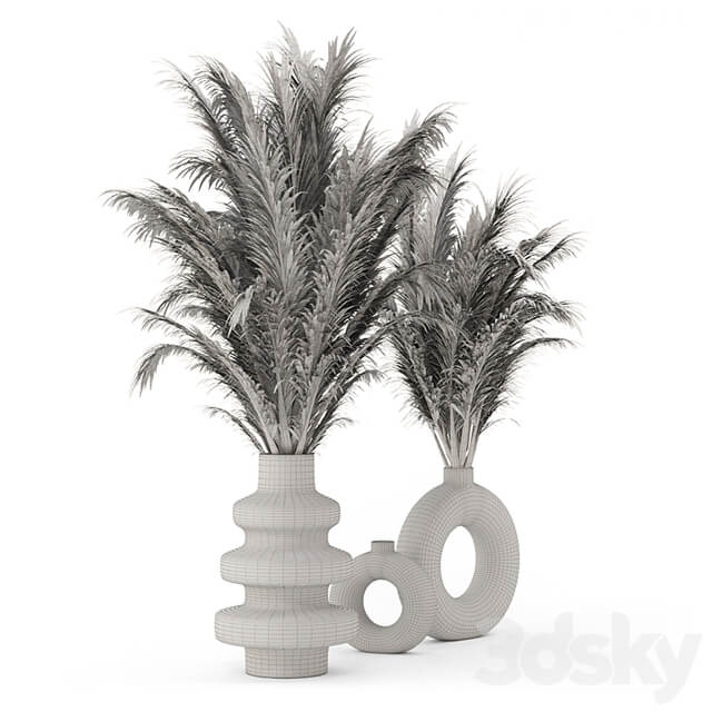 Collection Dry Bouquet Plants Pots Set 1876