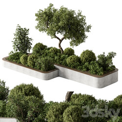 Plant Box Outdoor Plants 588 