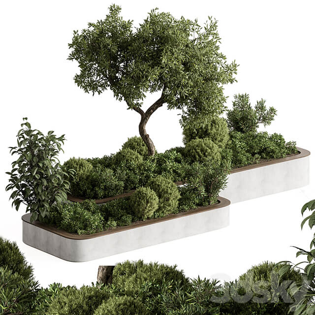 Plant Box Outdoor Plants 588