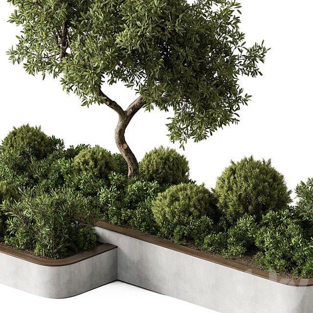 Plant Box Outdoor Plants 588