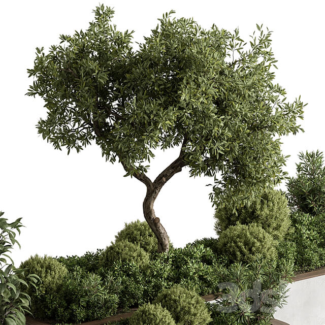 Plant Box Outdoor Plants 588