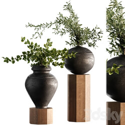 Indoor Plant Set 65 
