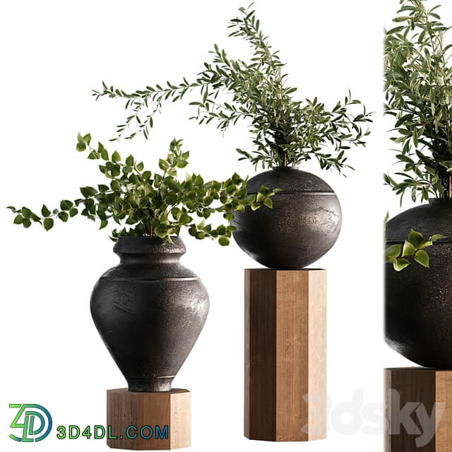 Indoor Plant Set 65