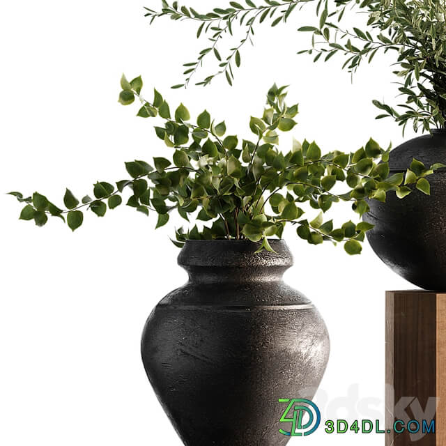 Indoor Plant Set 65