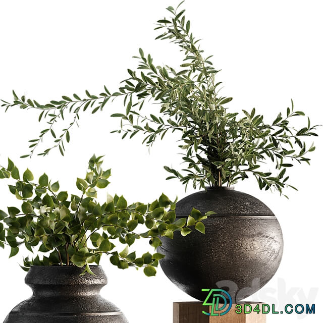 Indoor Plant Set 65