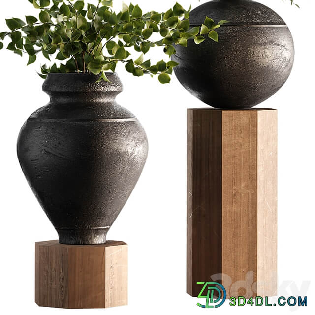 Indoor Plant Set 65