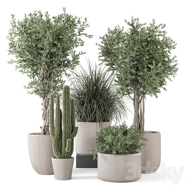 Indoor Plants in rusty Concrete Pot Set 1911