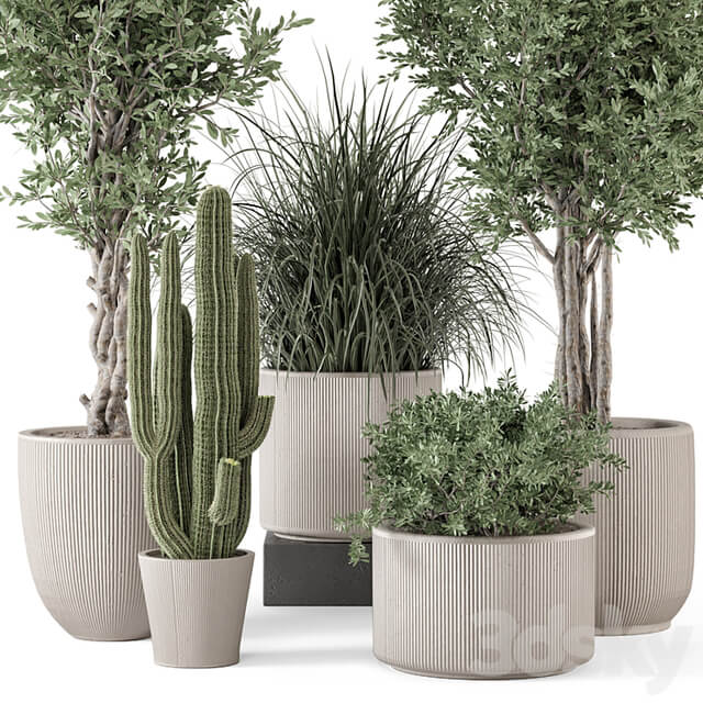 Indoor Plants in rusty Concrete Pot Set 1911
