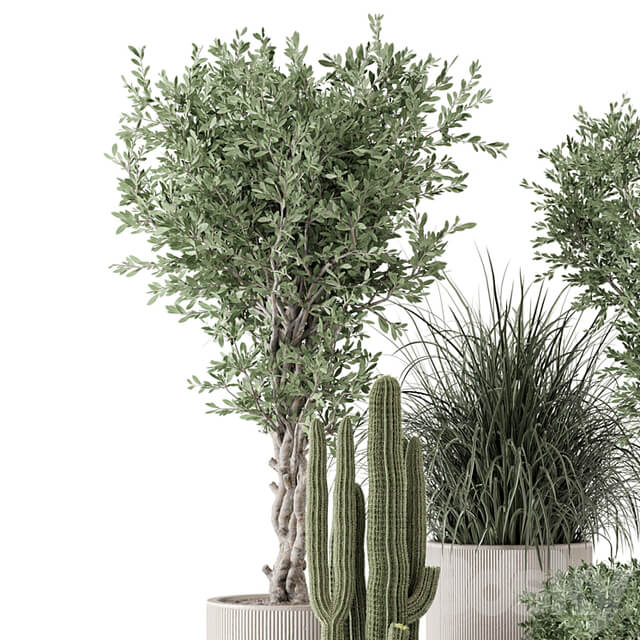 Indoor Plants in rusty Concrete Pot Set 1911