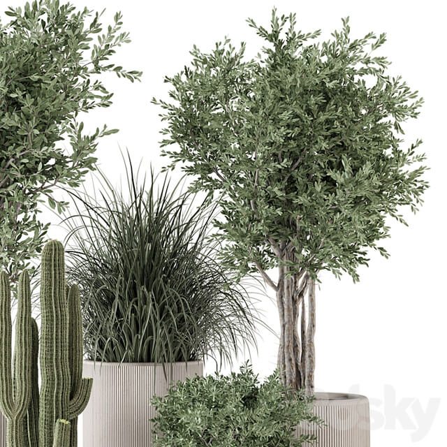 Indoor Plants in rusty Concrete Pot Set 1911