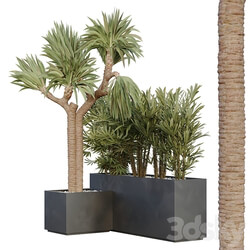 HQ Tree and bush garden box outdoor VOL 45 