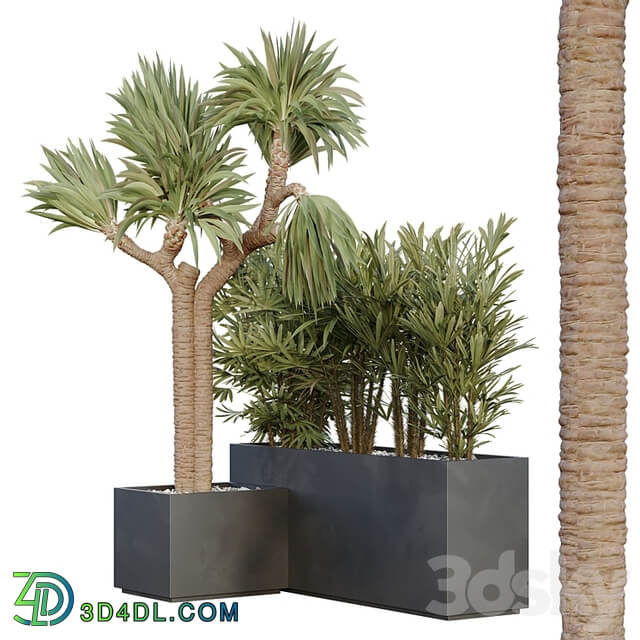 HQ Tree and bush garden box outdoor VOL 45