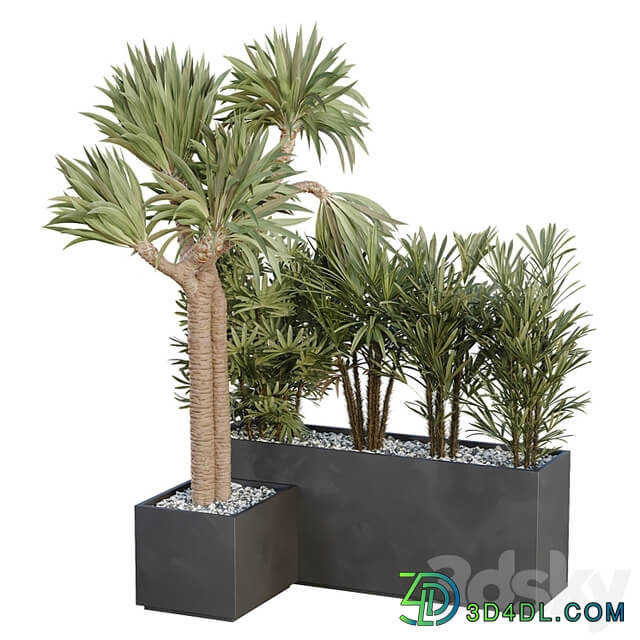 HQ Tree and bush garden box outdoor VOL 45