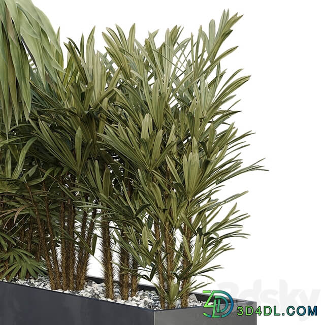 HQ Tree and bush garden box outdoor VOL 45